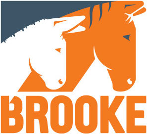  Logo of the company, returns to the landing page after login.